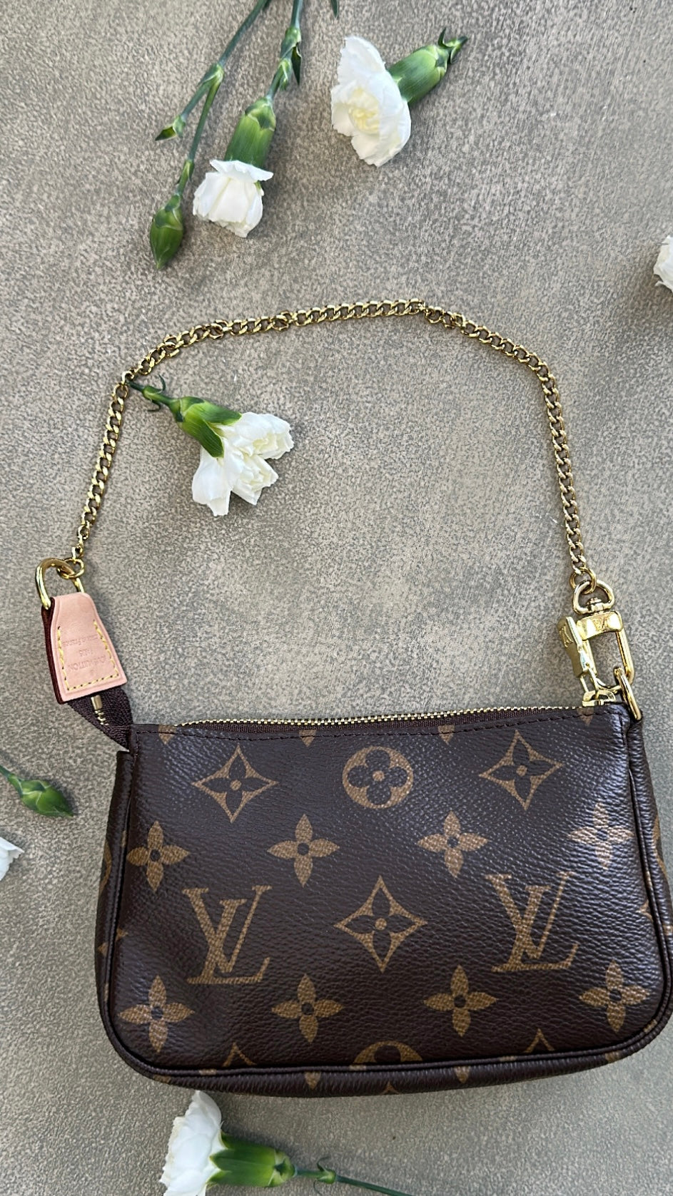 Louis Vuitton Monogram Mini Pochette Accessories