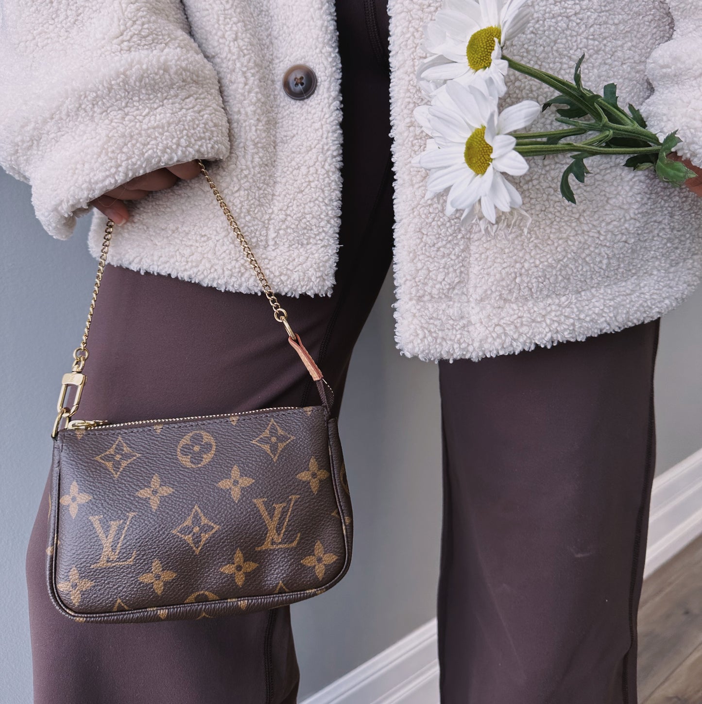 Louis Vuitton Monogram Mini Pochette Accessories